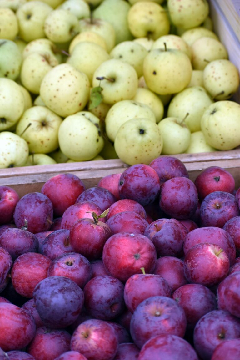 A vibrant selection of fresh apples and plums displayed at a market, captured in a close-up view.
